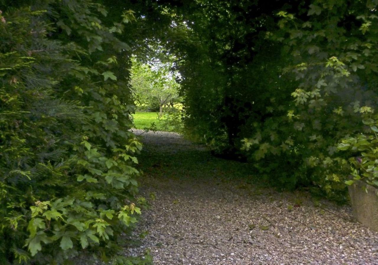 Logis de Chezelles Bed and Breakfast Sidiailles Buitenkant foto