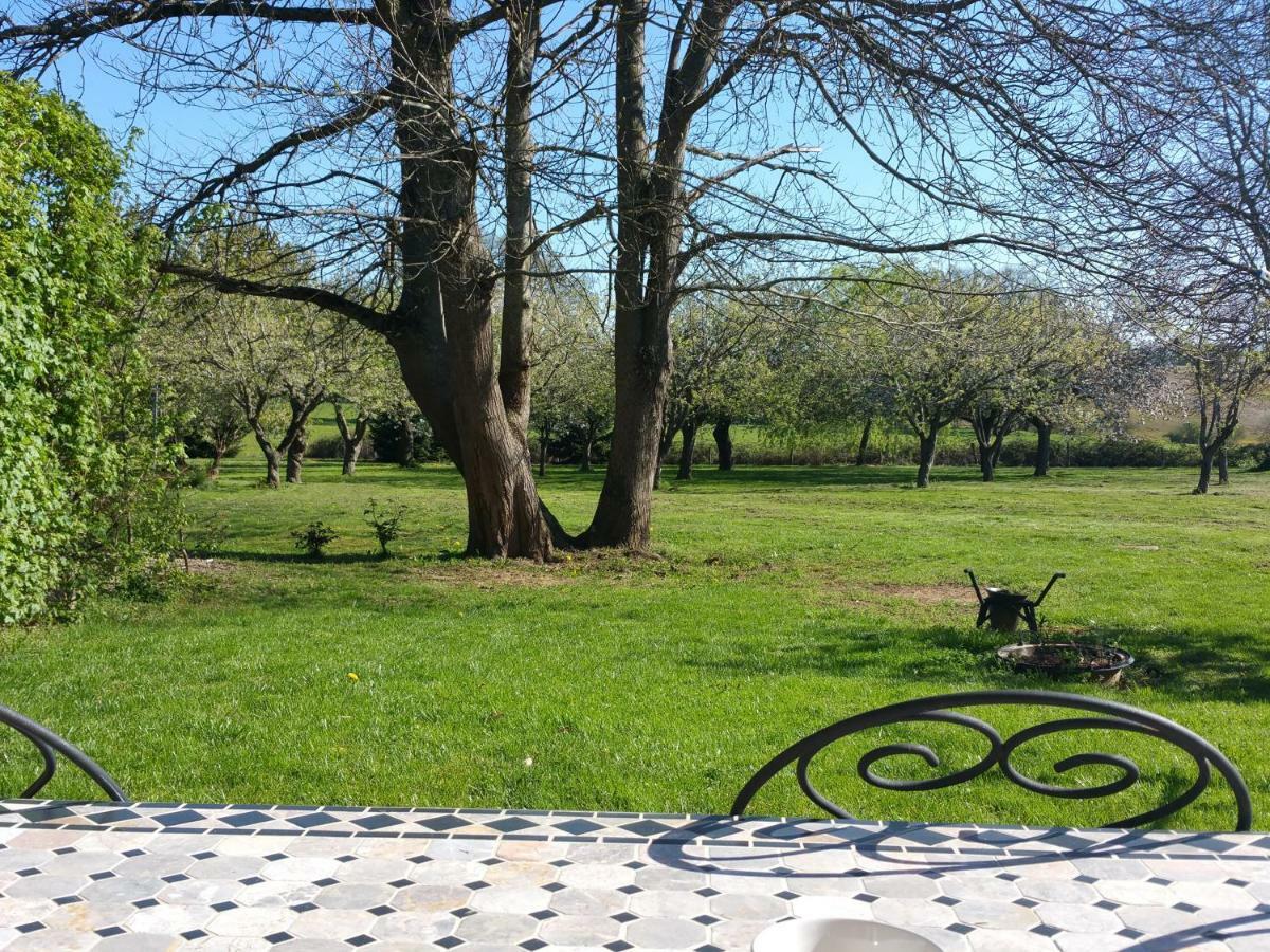 Logis de Chezelles Bed and Breakfast Sidiailles Buitenkant foto