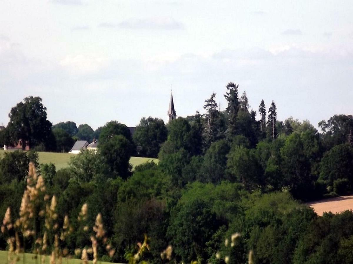 Logis de Chezelles Bed and Breakfast Sidiailles Buitenkant foto